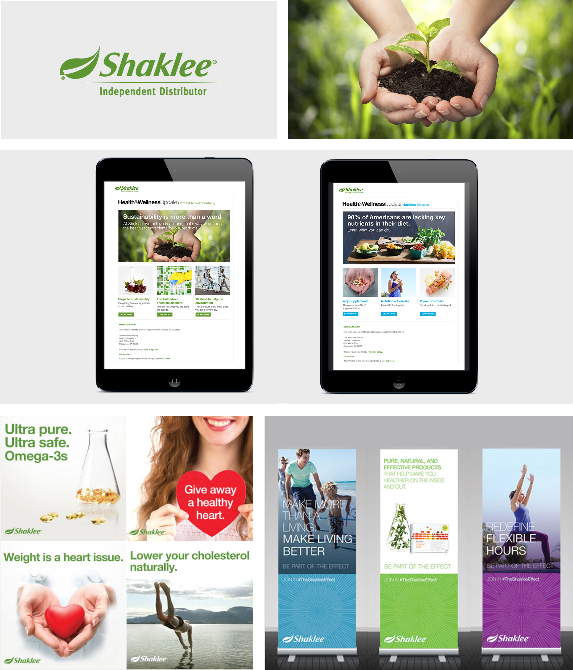 Shaklee Marketing projects